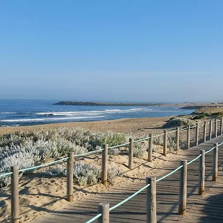 Οργανωμένο κάμπινγκ Opus Camper Portugal